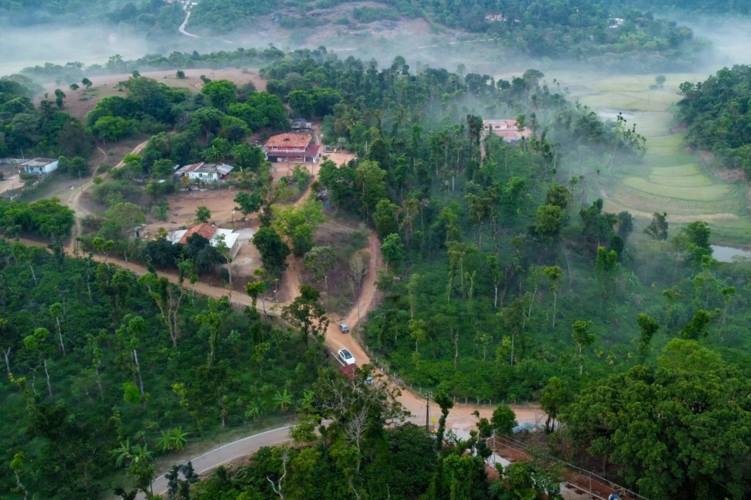 Aerial view of Malanadu coffee estate